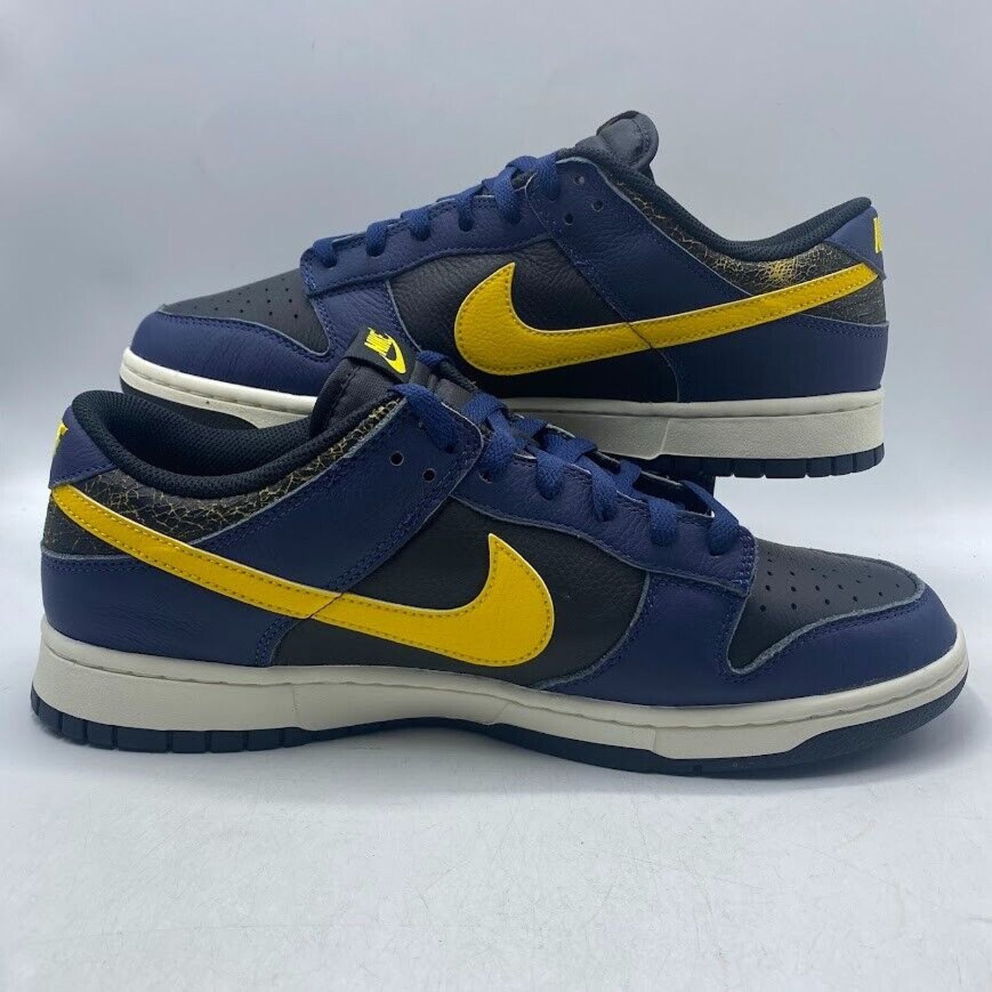 Nike Dunk Low Retro Vintage Michigan Yellow Blue FZ4014-010 NEW