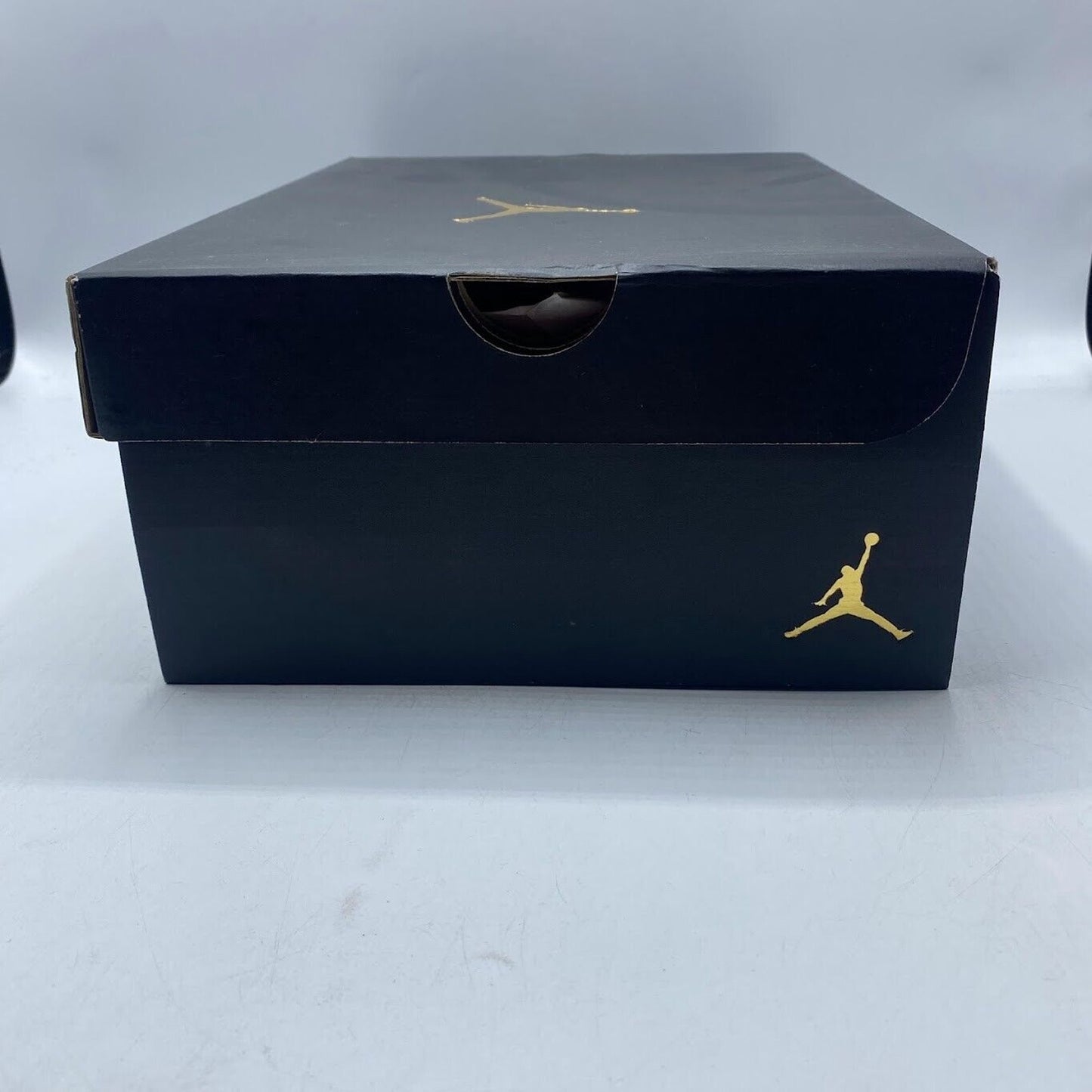 Air Jordan 12 Retro (GS) Stealth Grey White 153265-015 NEW