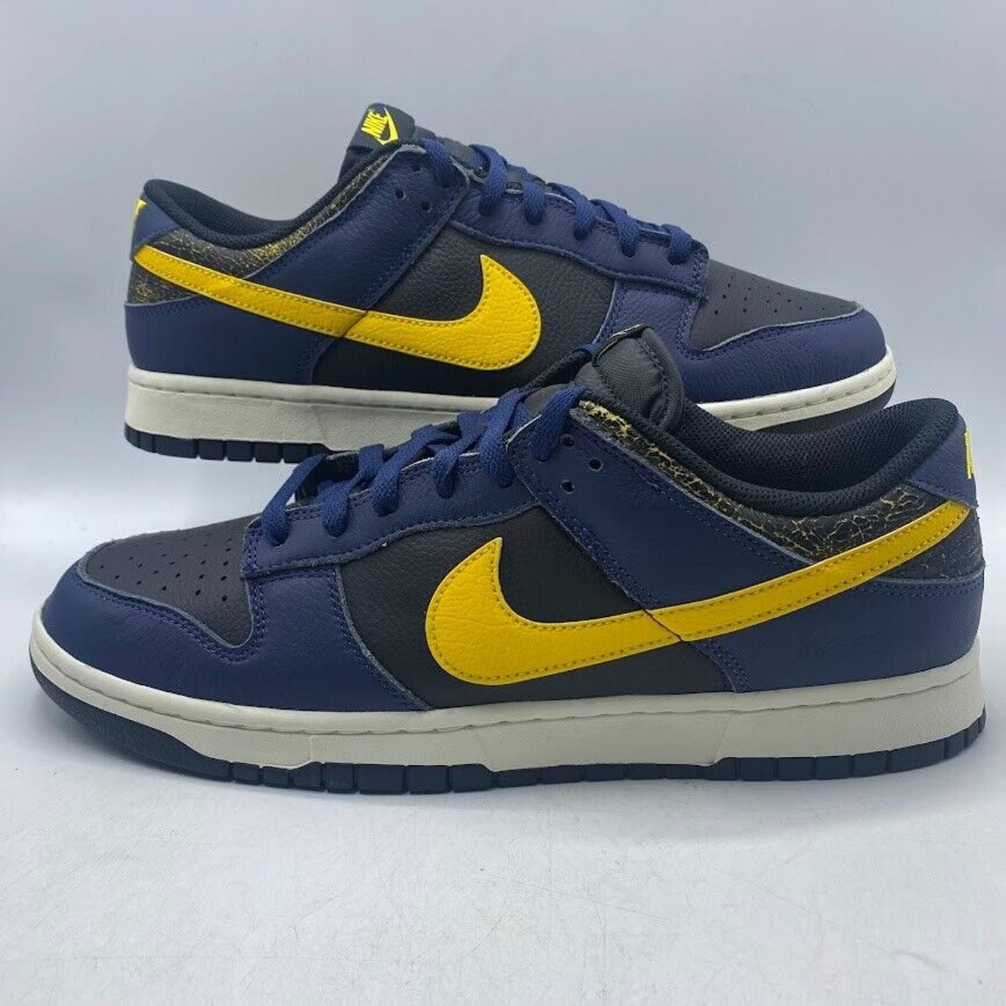 Nike Dunk Low Retro Vintage Michigan Yellow Blue FZ4014-010 NEW